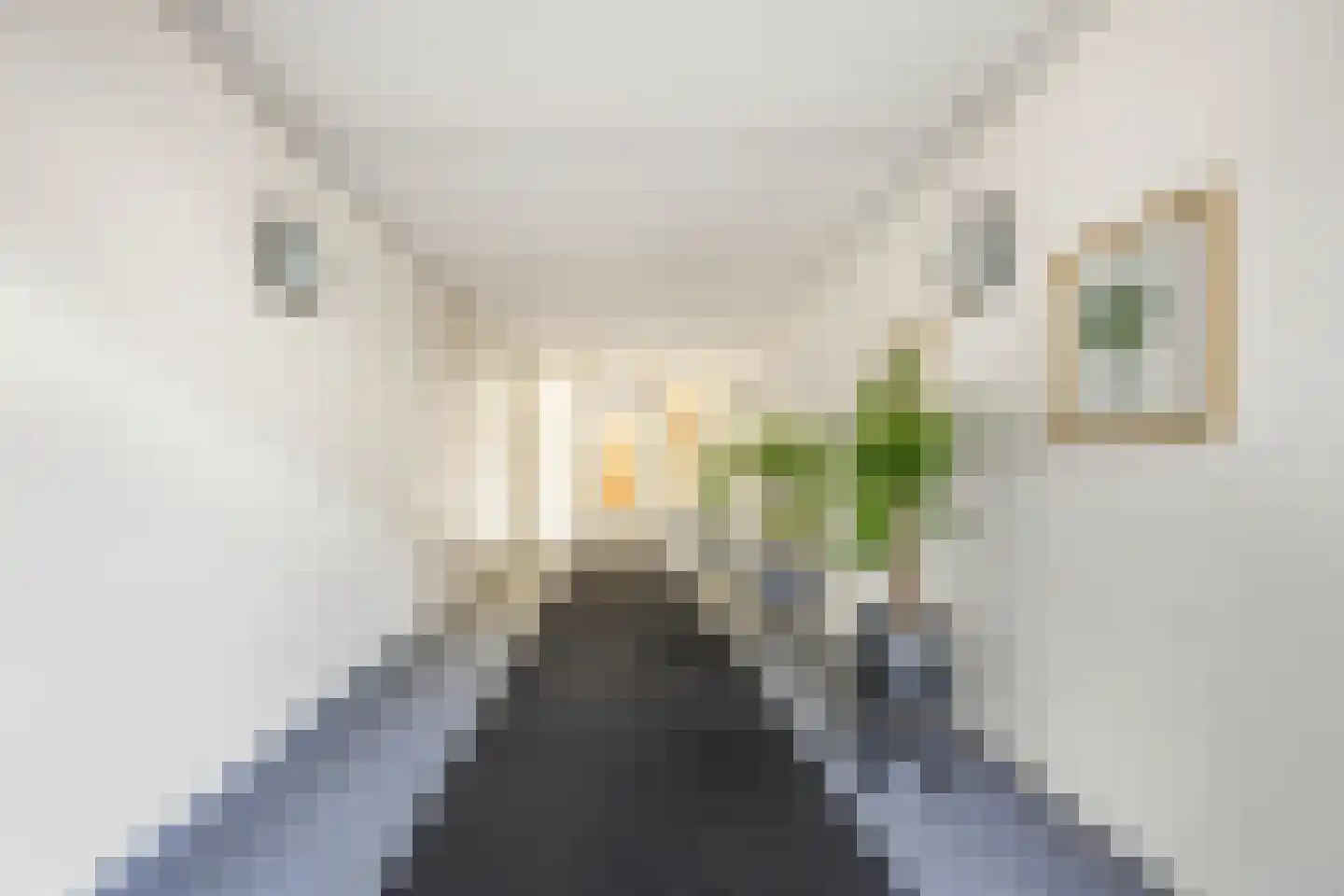 Hoefbladstraat 25 Nieuw-Vennep thumbnail 17