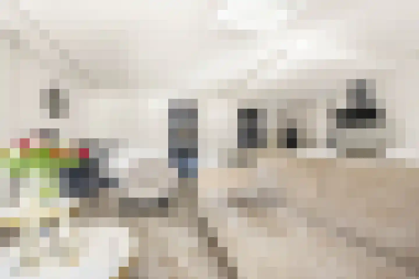 Hoefbladstraat 25 Nieuw-Vennep thumbnail 30