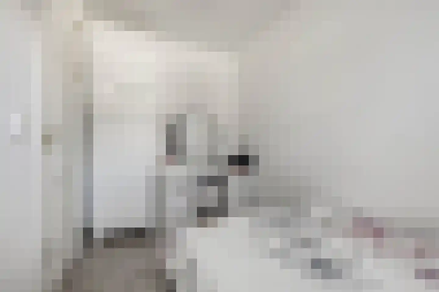 Hoefbladstraat 25 Nieuw-Vennep thumbnail 36