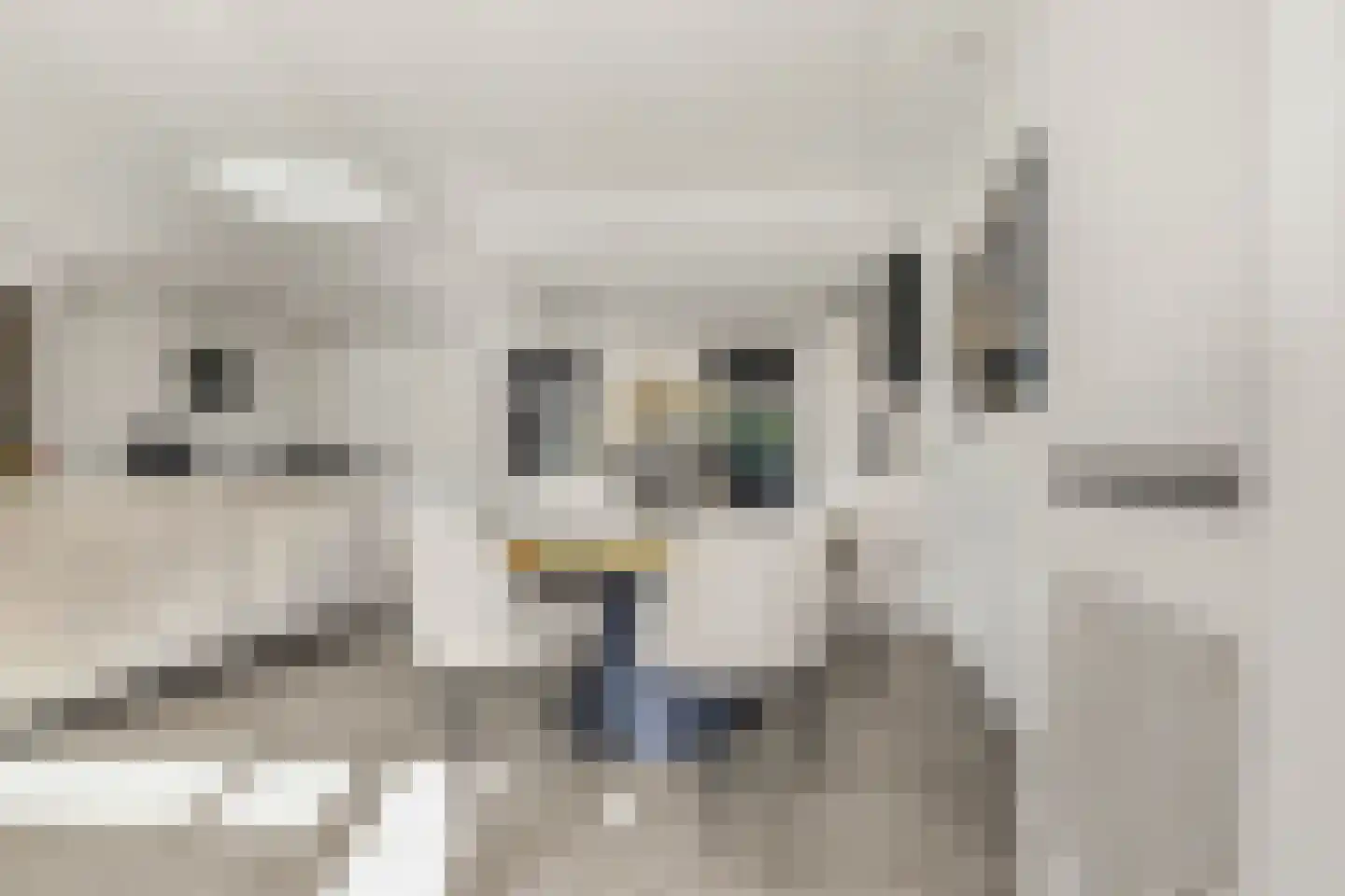 Hoefbladstraat 25 Nieuw-Vennep thumbnail 8