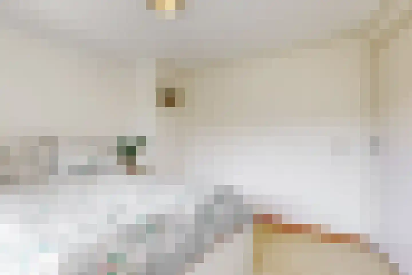 Hoefbladstraat 3 Krommenie thumbnail 12