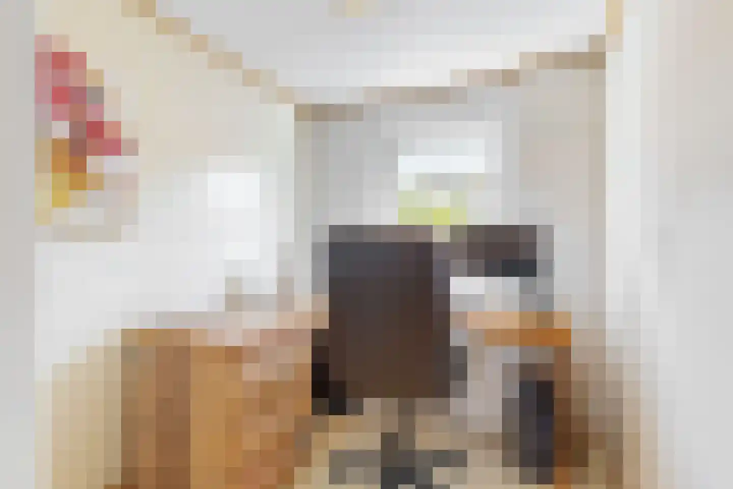 Hoefbladstraat 3 Krommenie thumbnail 13