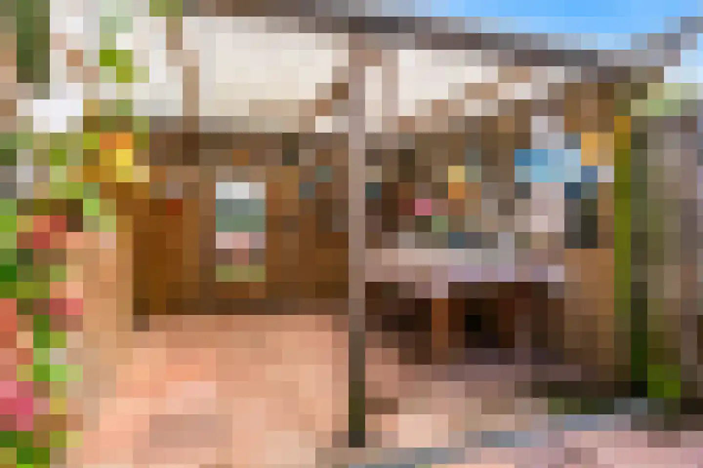 Hoefbladstraat 3 Krommenie thumbnail 23