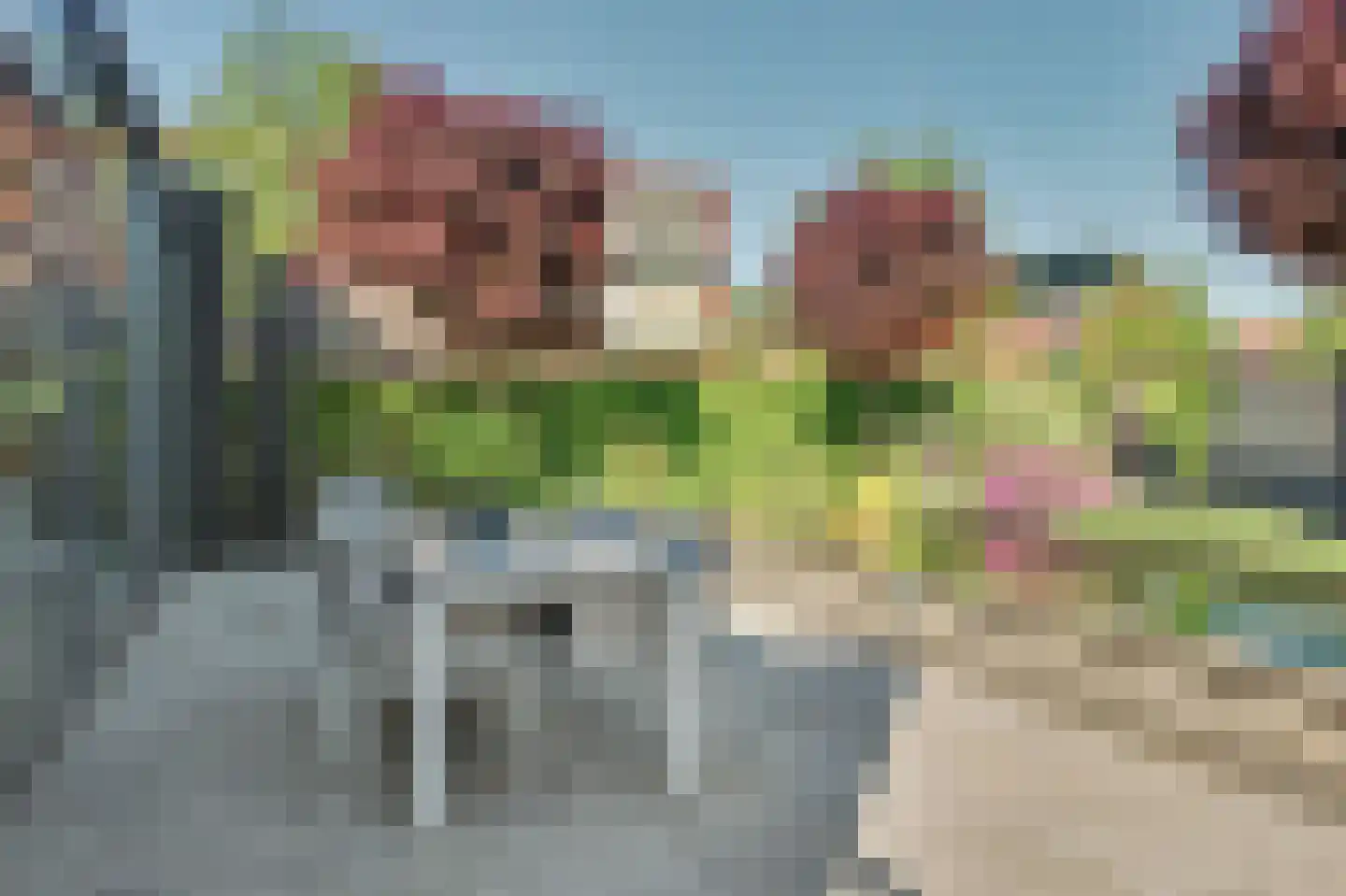 Hoefbladstraat 30 Heinkenszand thumbnail 40