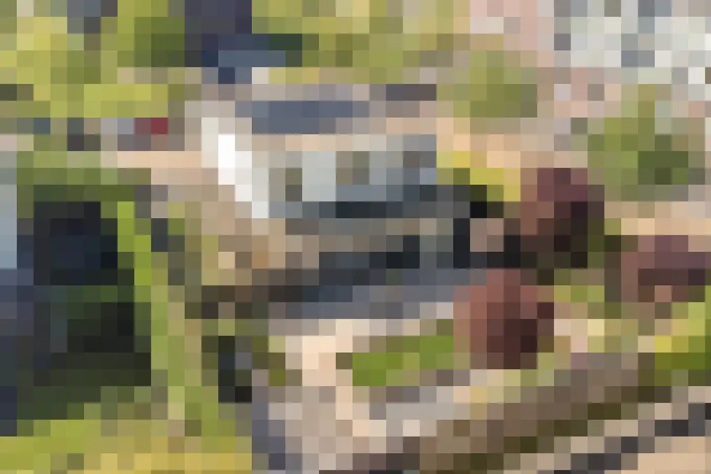 Hoefbladstraat 30 Heinkenszand thumbnail 57
