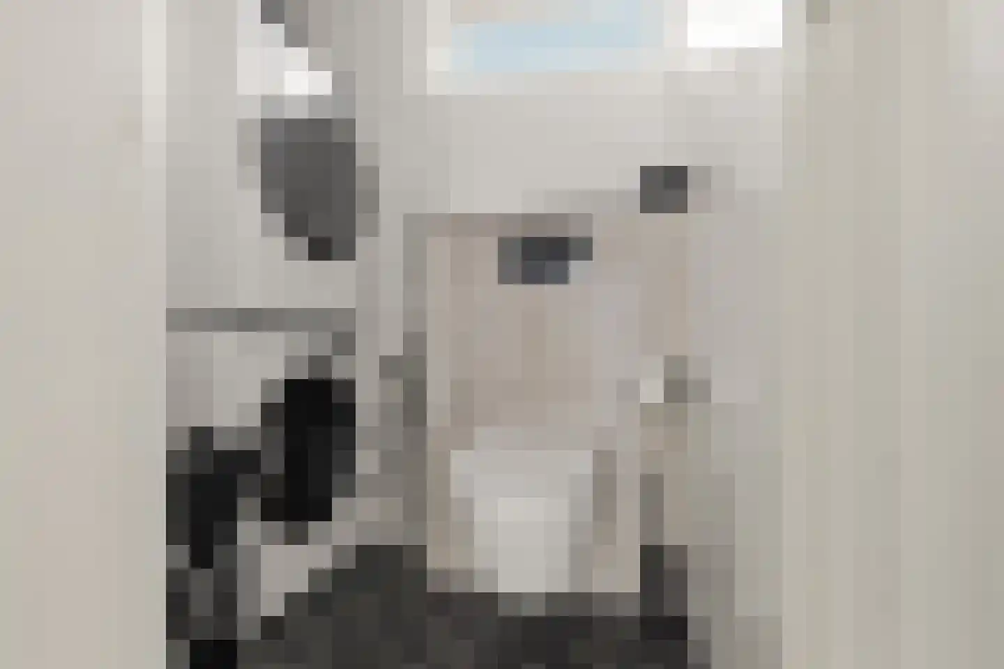 Hoefbladstraat 4 Krommenie thumbnail 20
