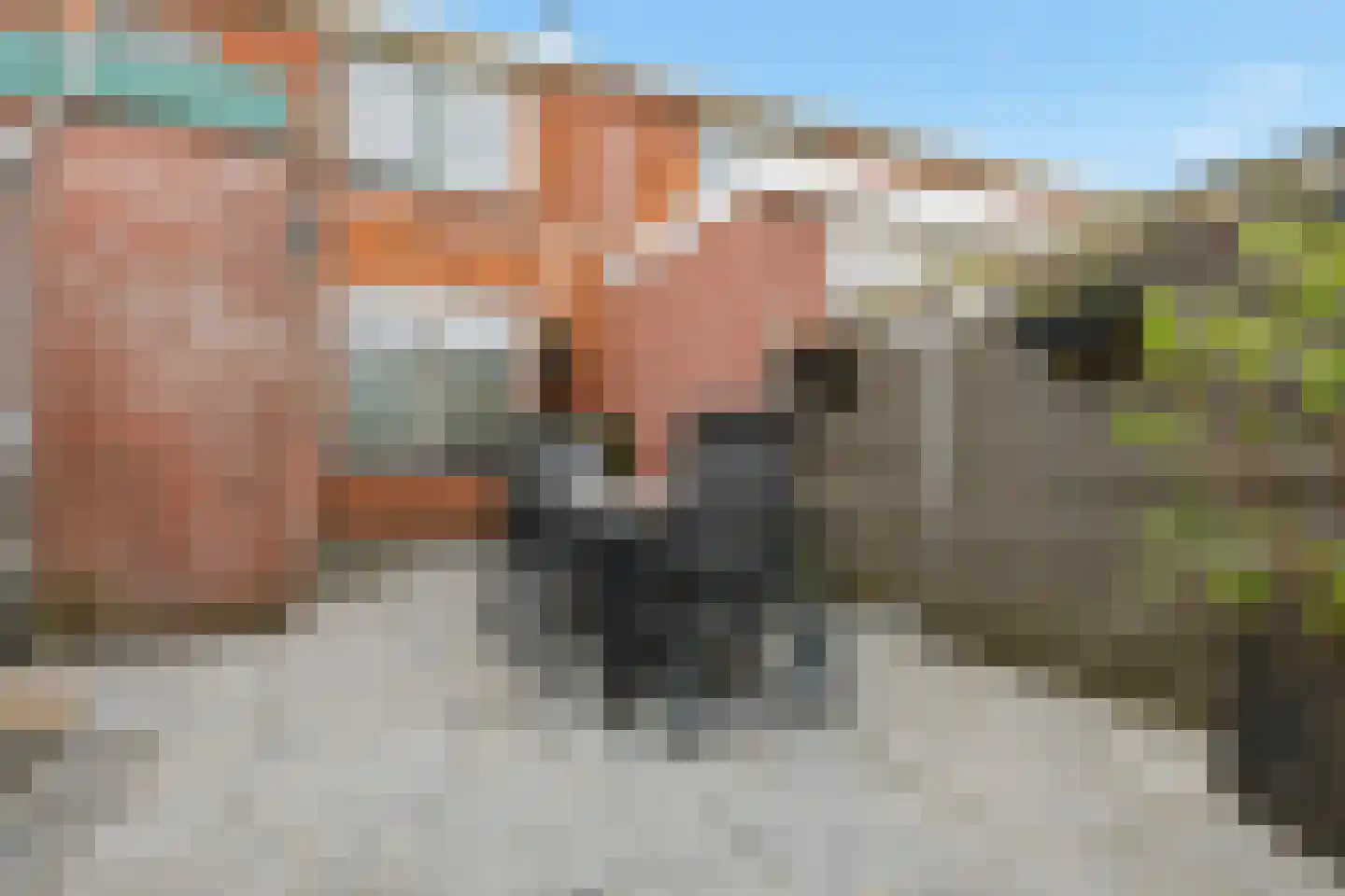 Hoefbladstraat 4 Krommenie thumbnail 23