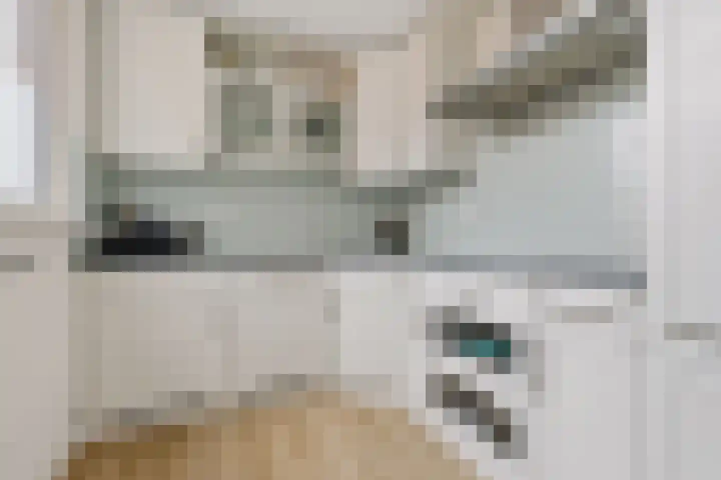 Hoefbladstraat 4 Krommenie thumbnail 8