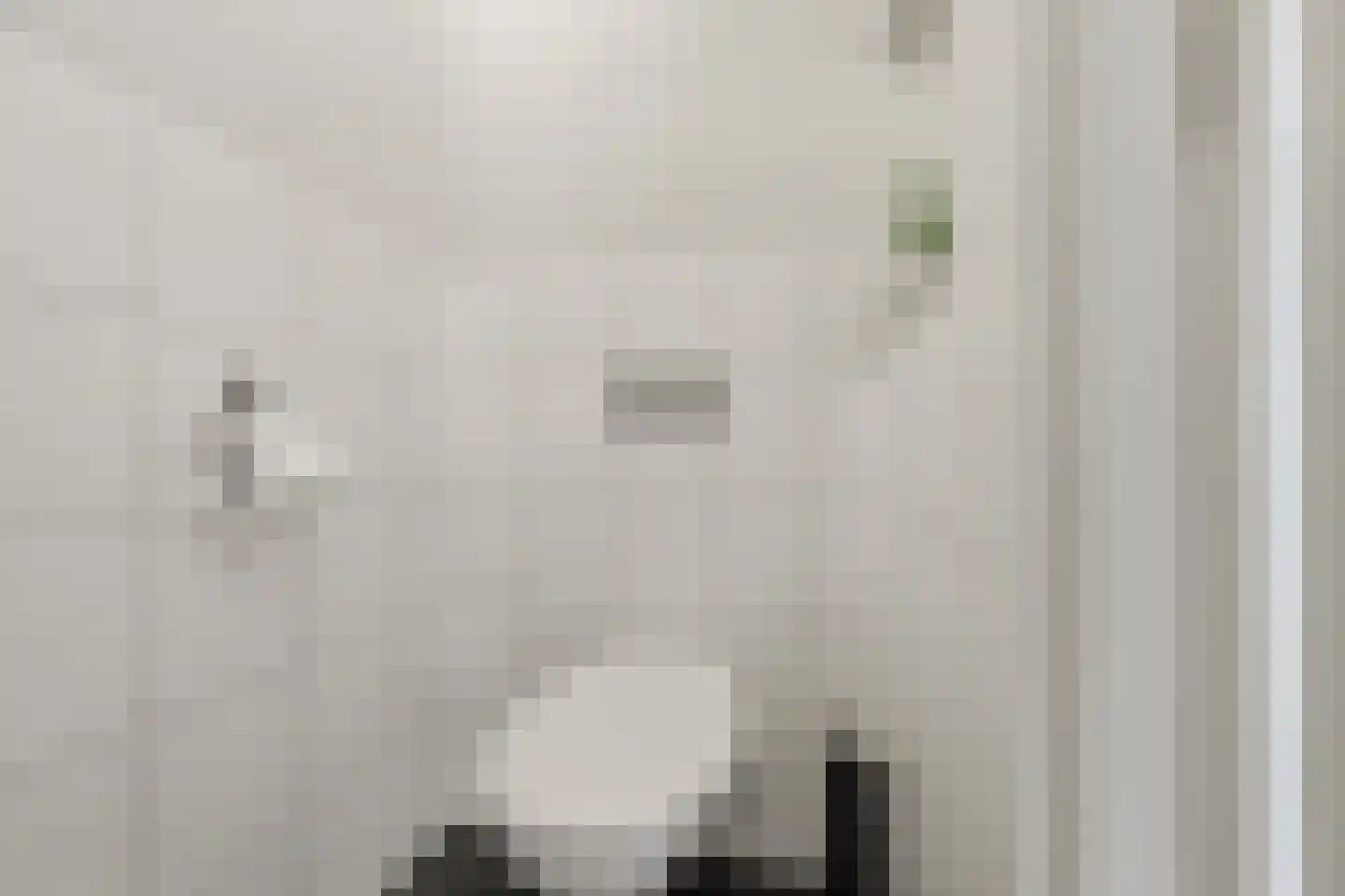 Hoefbladstraat 4 Krommenie thumbnail 9