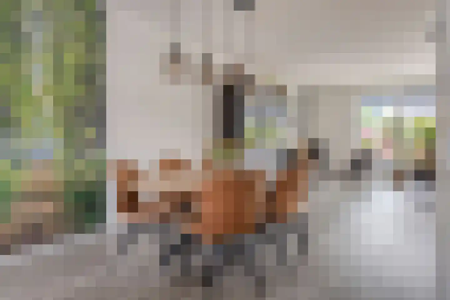 Hoefbladstraat 50 A Heinkenszand thumbnail 18