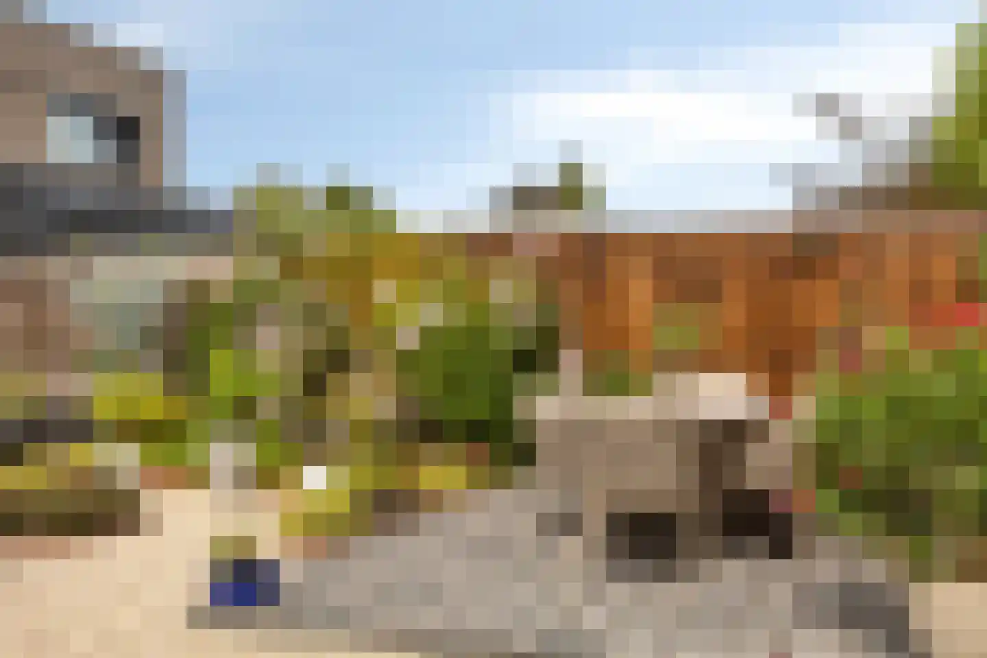 Hoefbladstraat 50 A Heinkenszand thumbnail 44