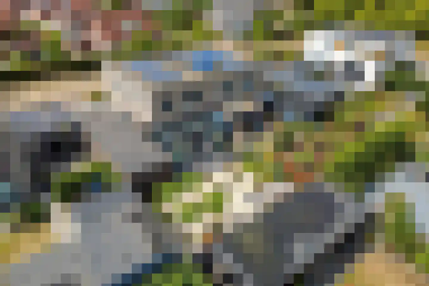 Hoefbladstraat 50 A Heinkenszand thumbnail 45