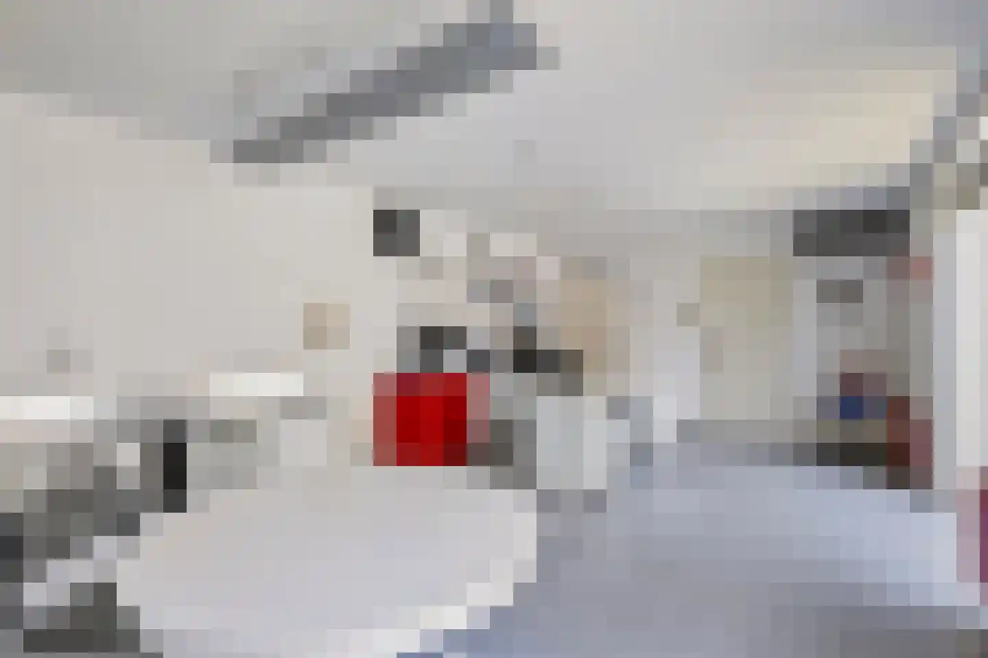 Hoefbladstraat 6 Nieuw-Vennep thumbnail 31