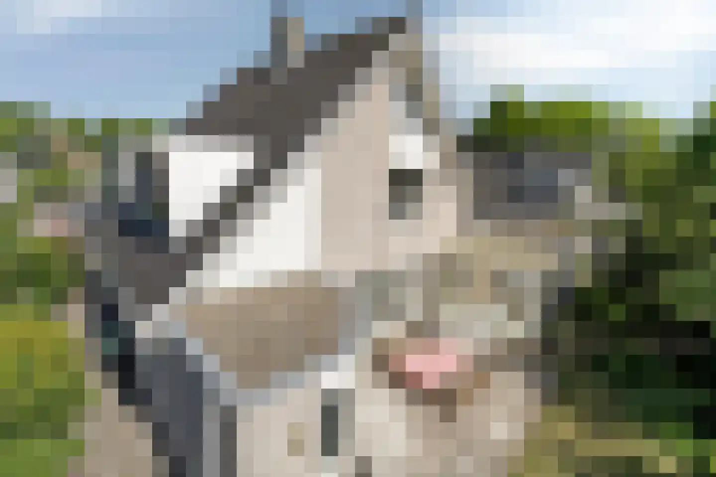 Hoefbladstraat 6 Nieuw-Vennep thumbnail 32