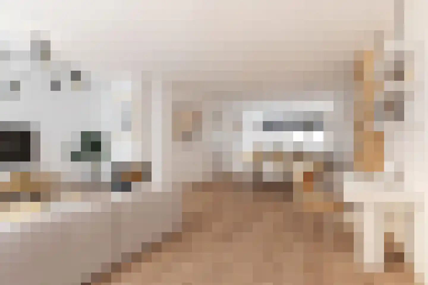 Hoefbladstraat 6 Nieuw-Vennep thumbnail 5