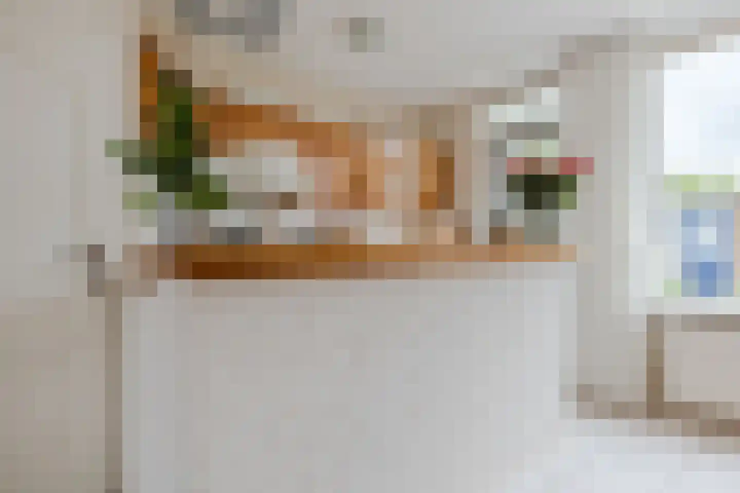 Hoefbladstraat 6 Zevenbergen thumbnail 12