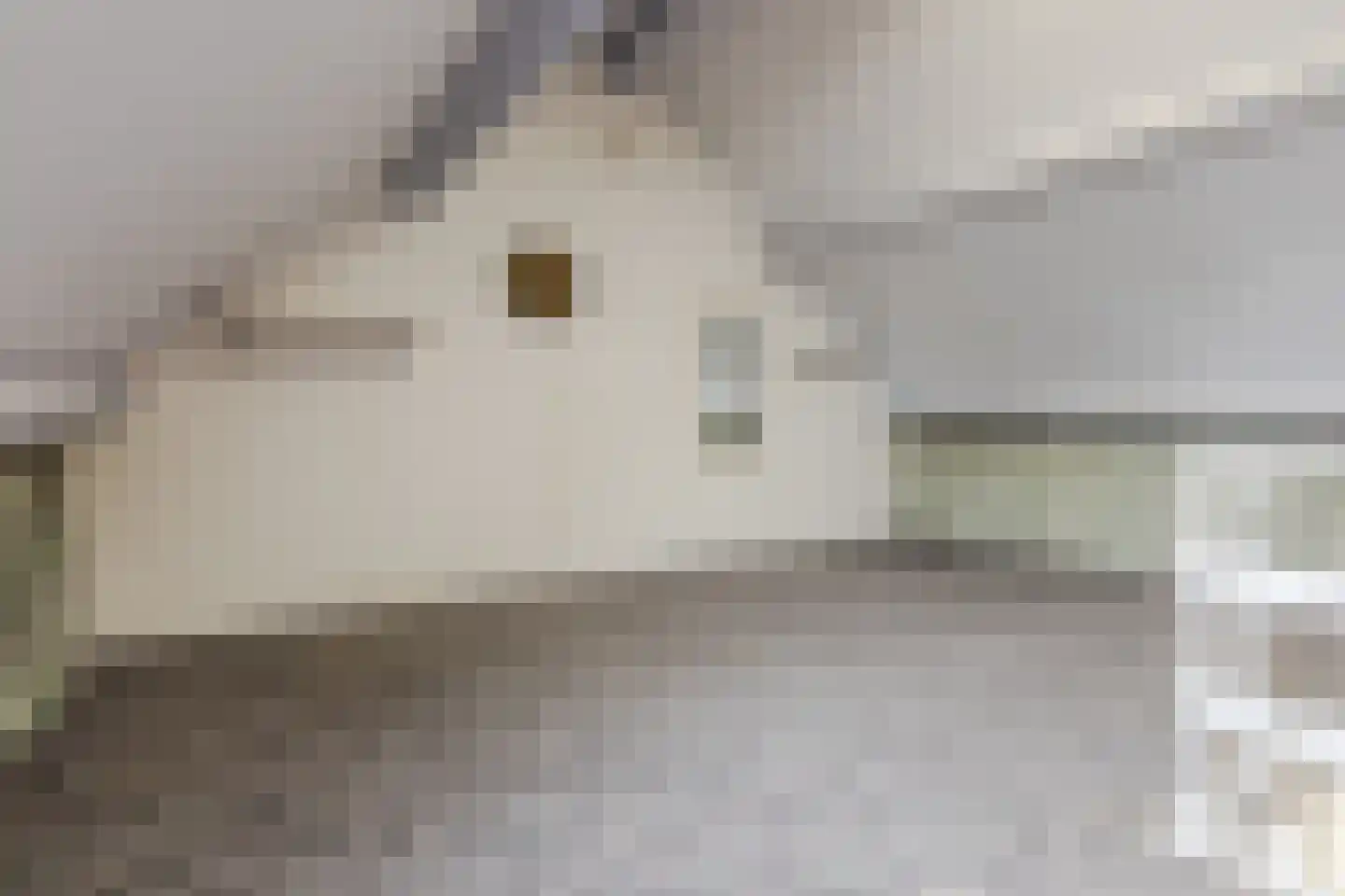 Hoefbladstraat 6 Zevenbergen thumbnail 27