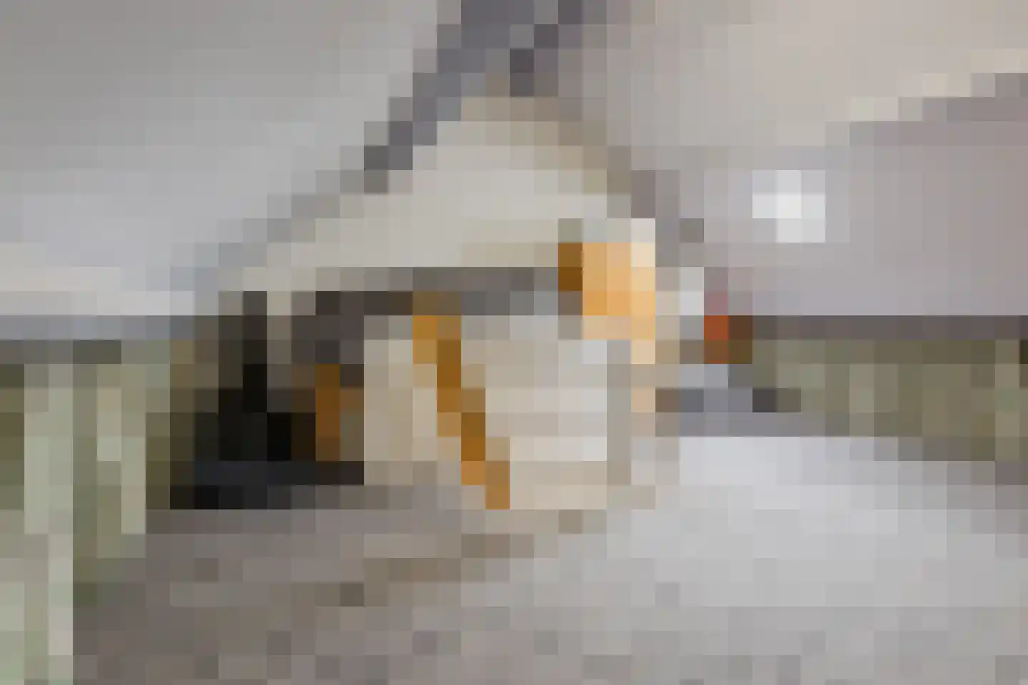 Hoefbladstraat 6 Zevenbergen thumbnail 28