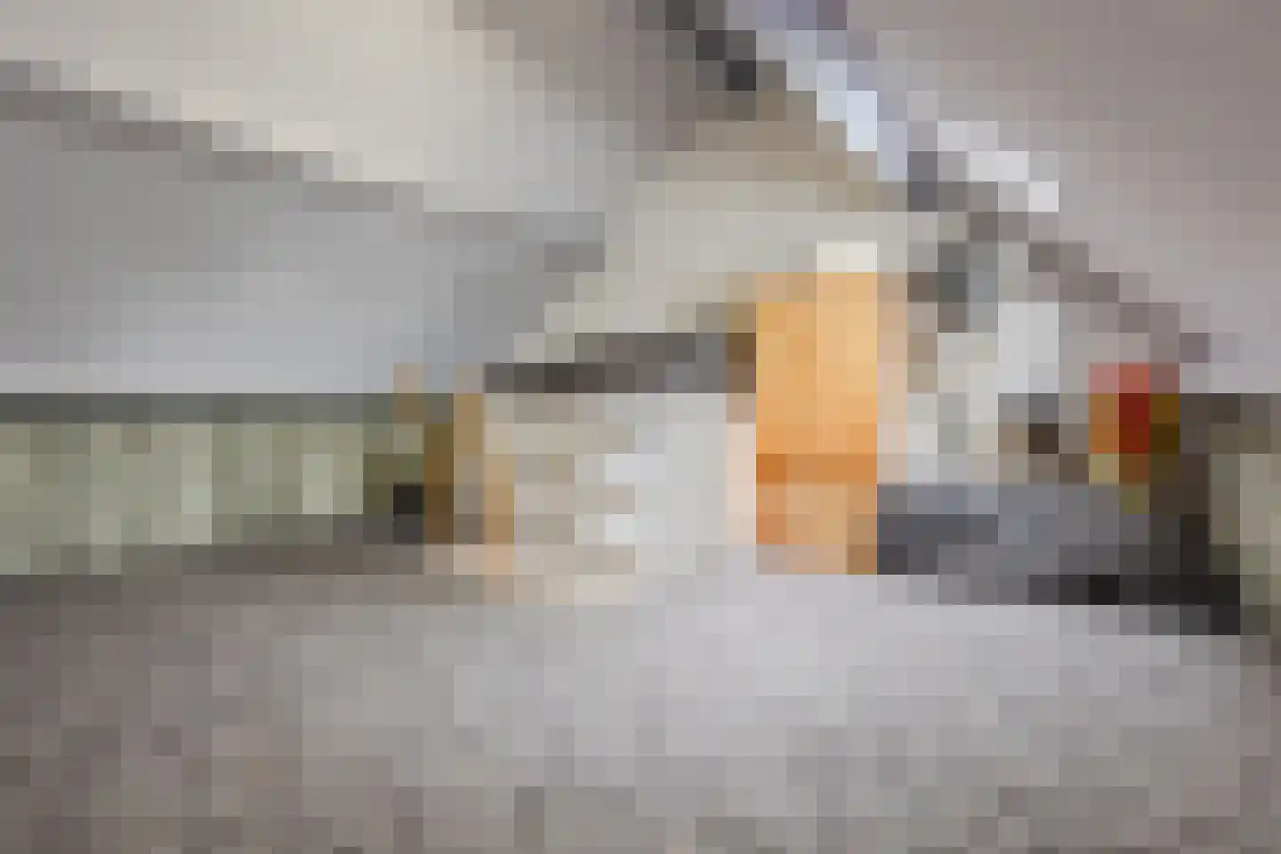 Hoefbladstraat 6 Zevenbergen thumbnail 29