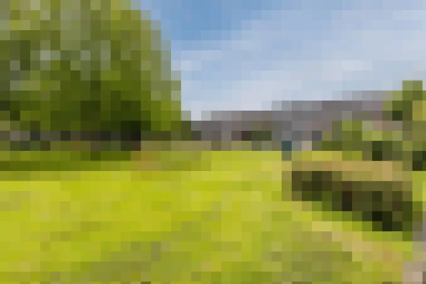 Hoefbladstraat 6 Zevenbergen thumbnail 35