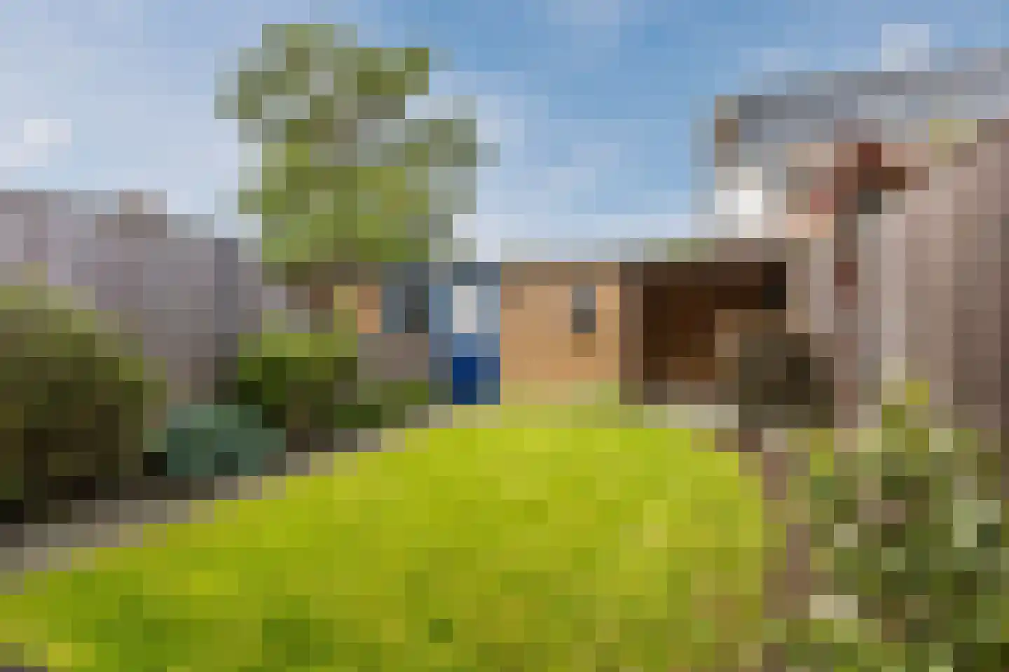 Hoefbladstraat 6 Zevenbergen thumbnail 5