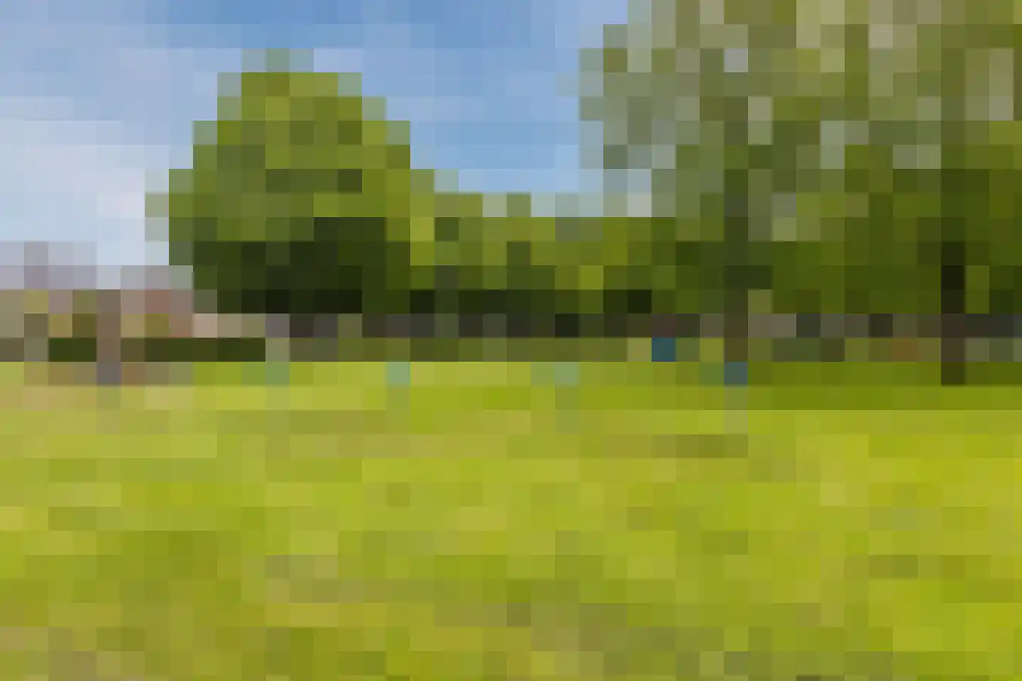 Hoefbladstraat 6 Zevenbergen thumbnail 6