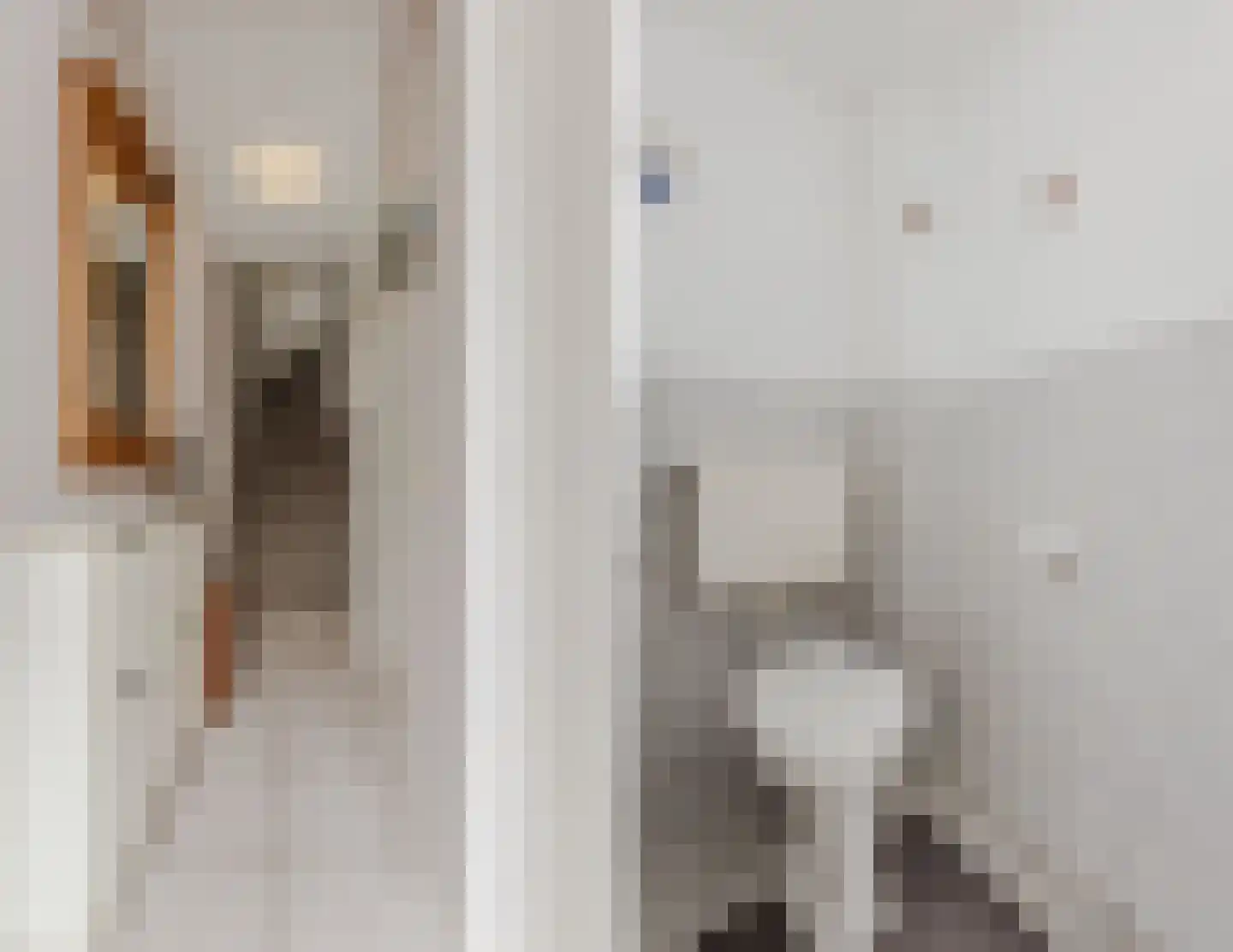 Hoefbladstraat 6 Zevenbergen thumbnail 8