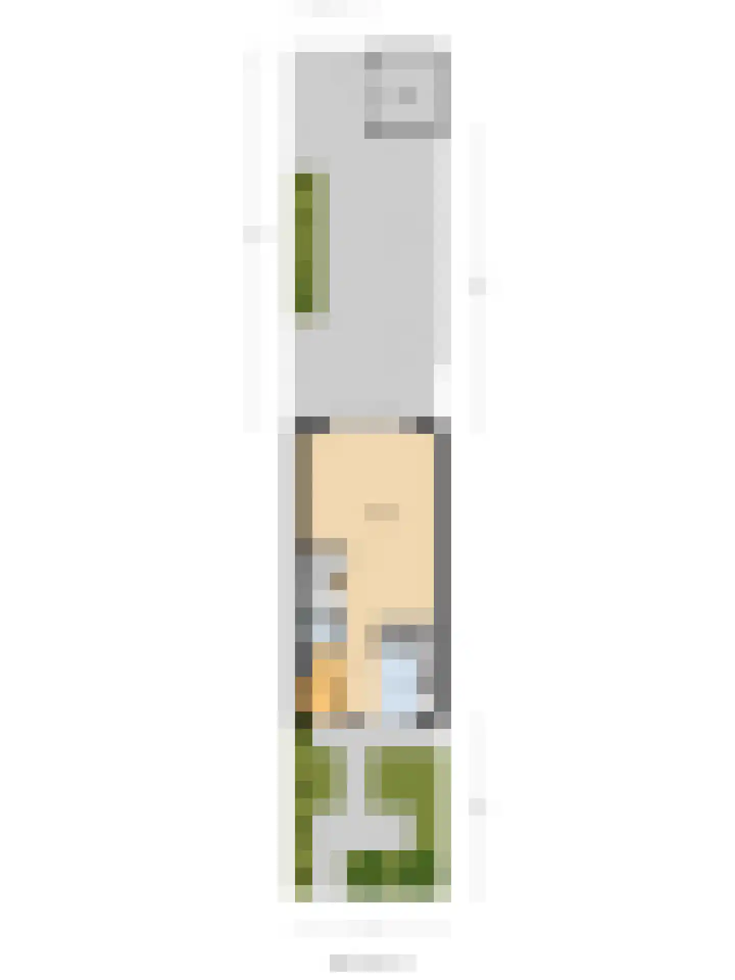 Hoefbladstraat 62 Heinkenszand thumbnail 36