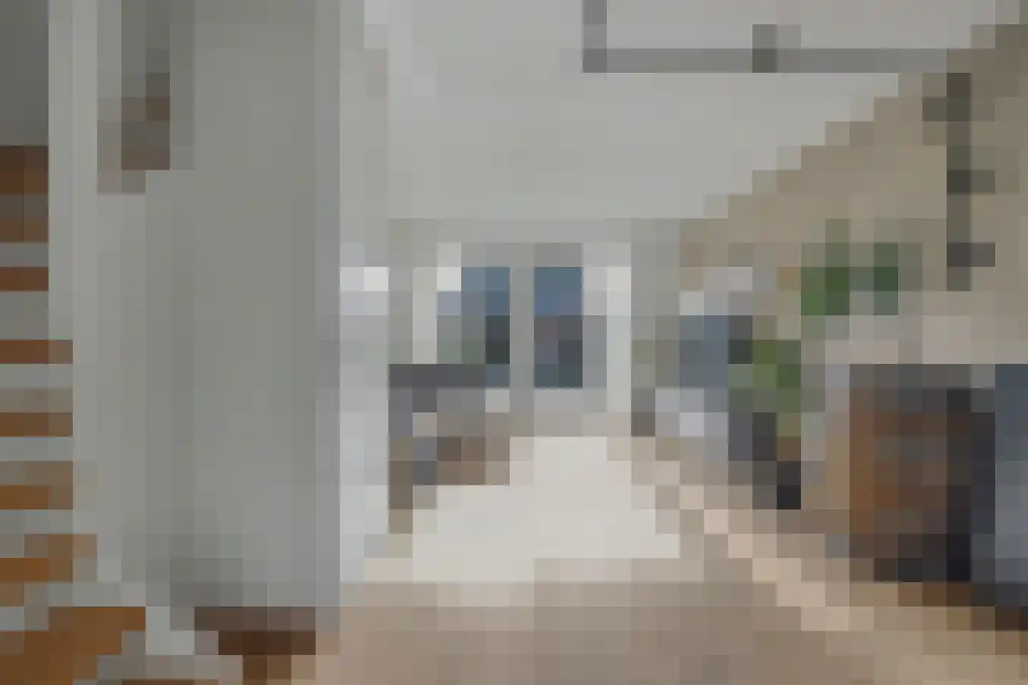 Hoefbladstraat 62 Heinkenszand thumbnail 4