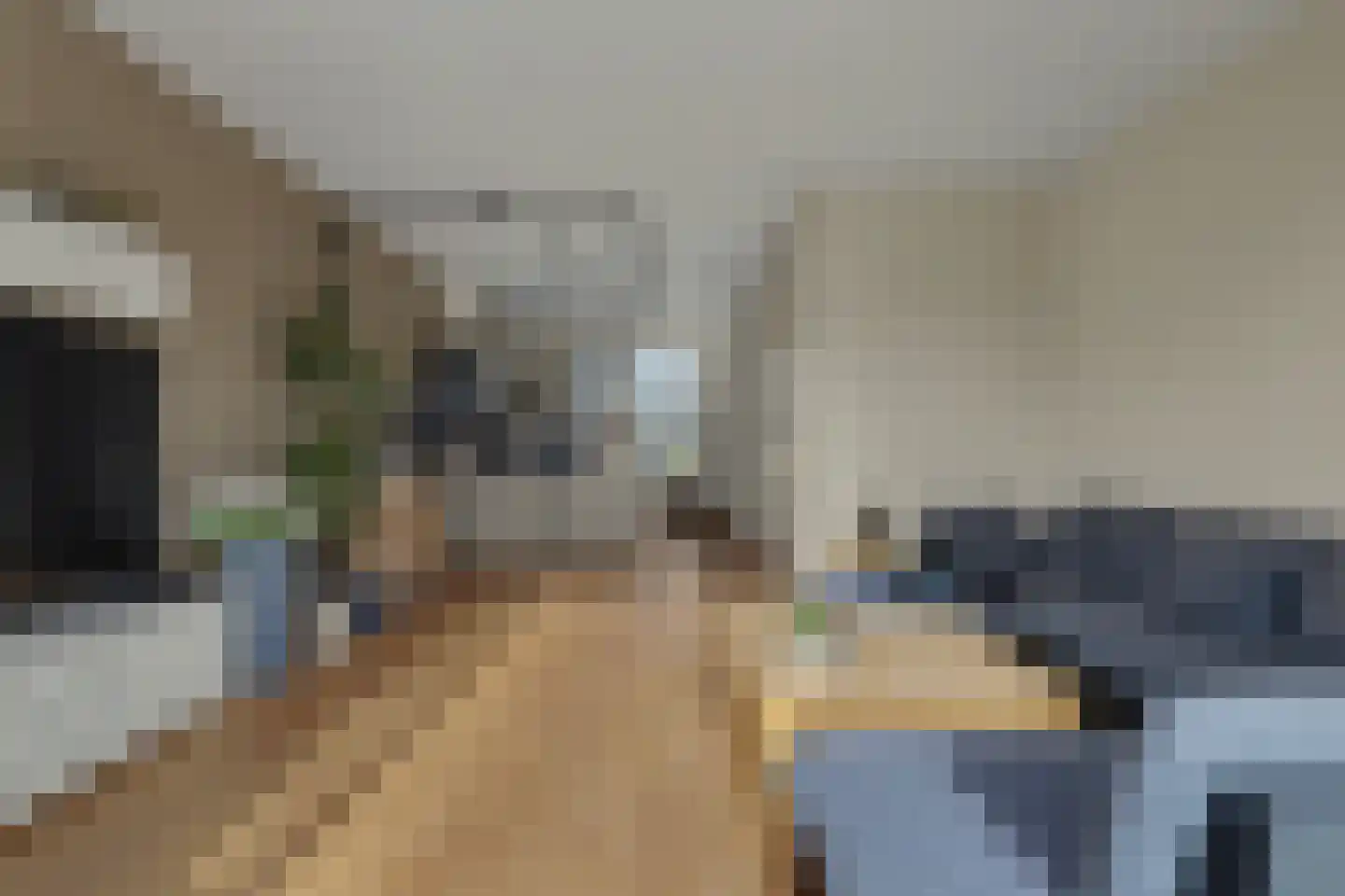 Hoefbladstraat 62 Heinkenszand thumbnail 5