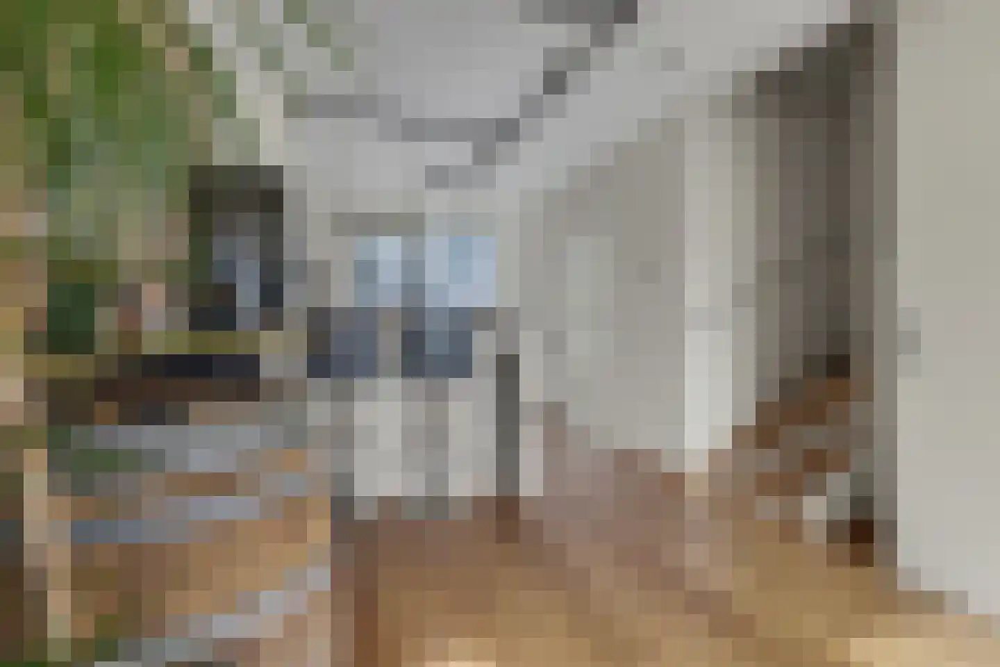 Hoefbladstraat 62 Heinkenszand thumbnail 8