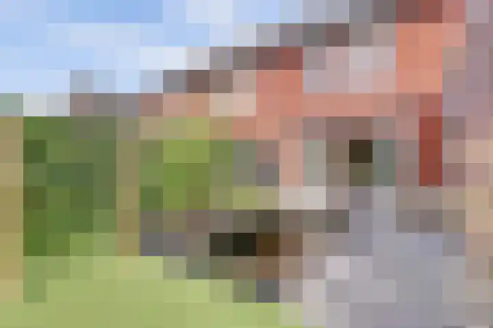 Hoefbladstraat 64 Heinkenszand thumbnail 32