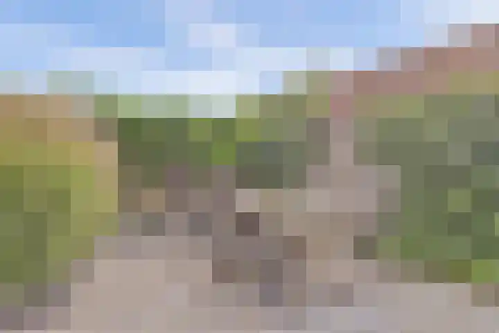 Hoefbladstraat 64 Heinkenszand thumbnail 36