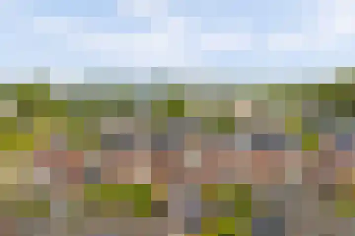 Hoefbladstraat 64 Heinkenszand thumbnail 37