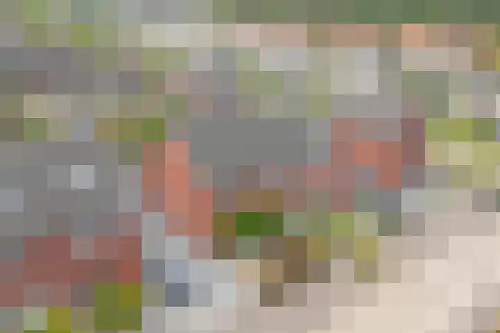 Hoefbladstraat 64 Heinkenszand thumbnail 39
