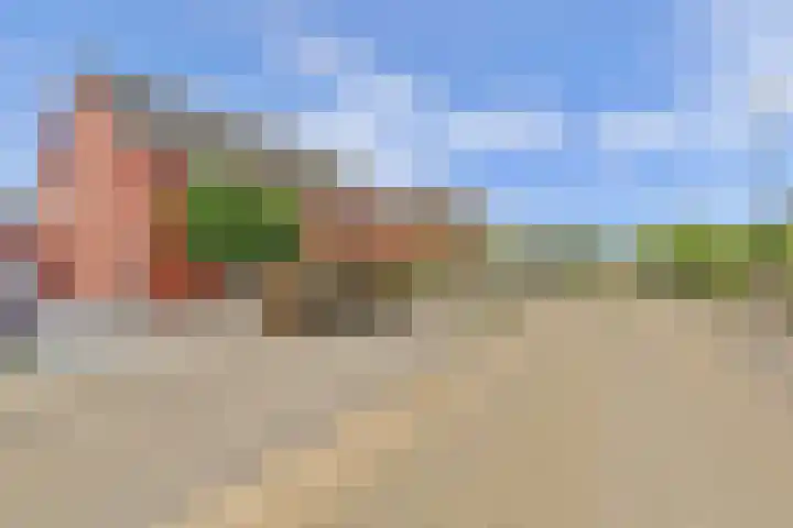 Hoefbladstraat 64 Heinkenszand thumbnail 4