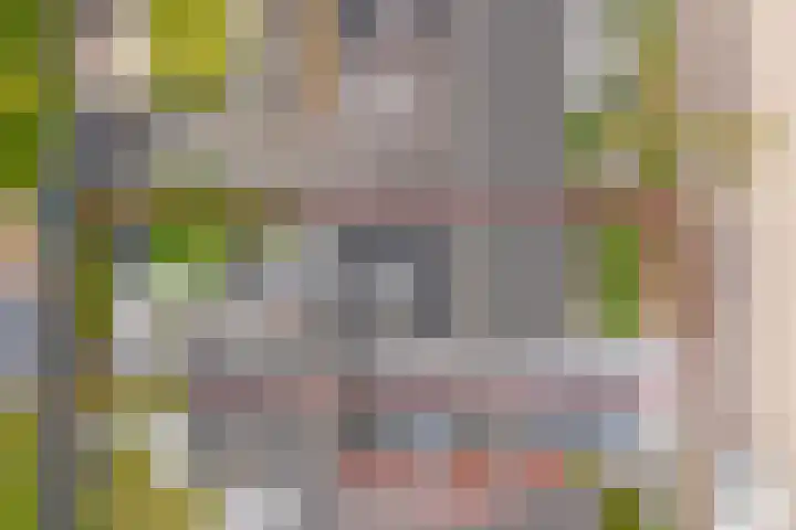 Hoefbladstraat 64 Heinkenszand thumbnail 41