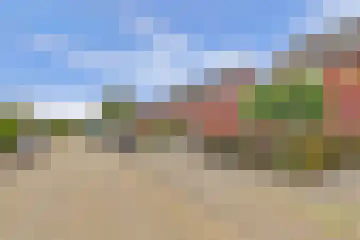 Hoefbladstraat 64 Heinkenszand thumbnail 5