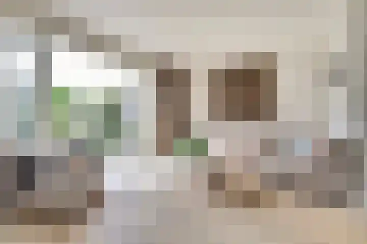 Hoefbladstraat 64 Heinkenszand thumbnail 7