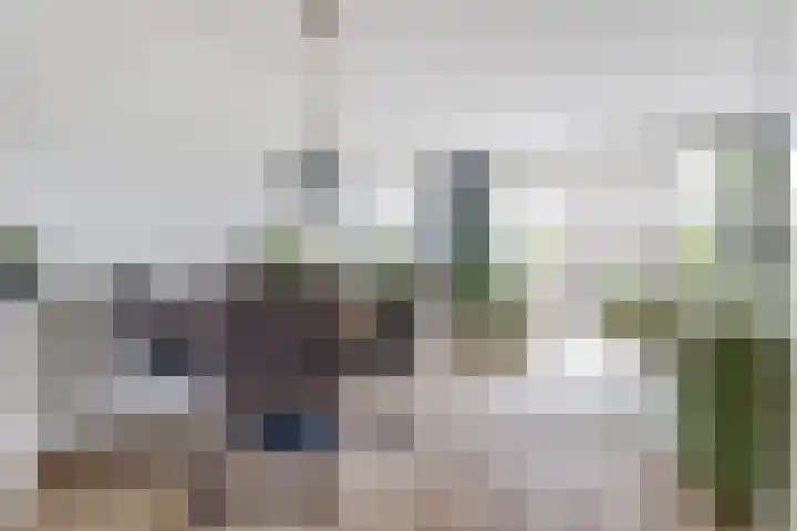 Hoefbladstraat 78 Heinkenszand thumbnail 11
