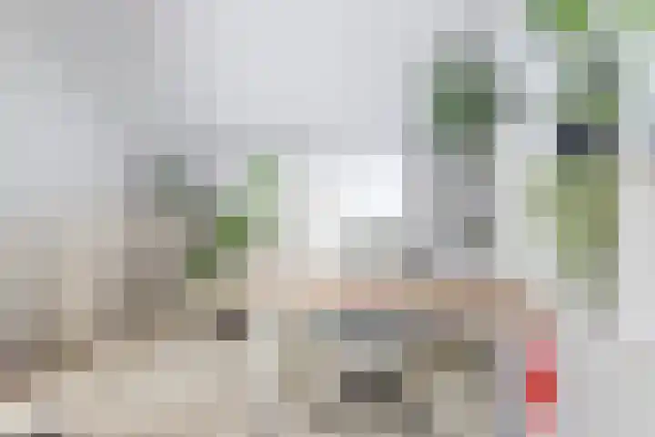 Hoefbladstraat 78 Heinkenszand thumbnail 21