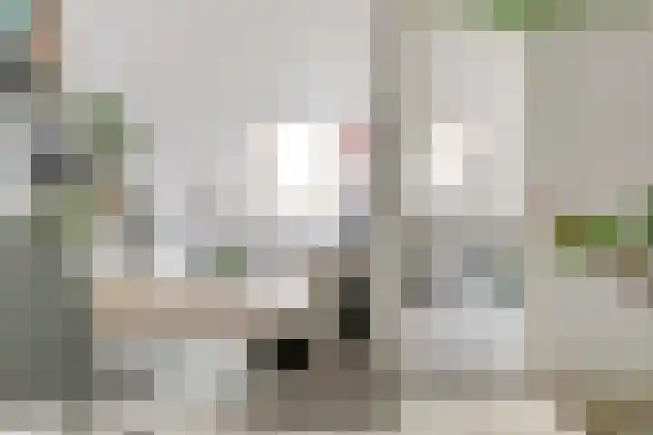 Hoefbladstraat 78 Heinkenszand thumbnail 22