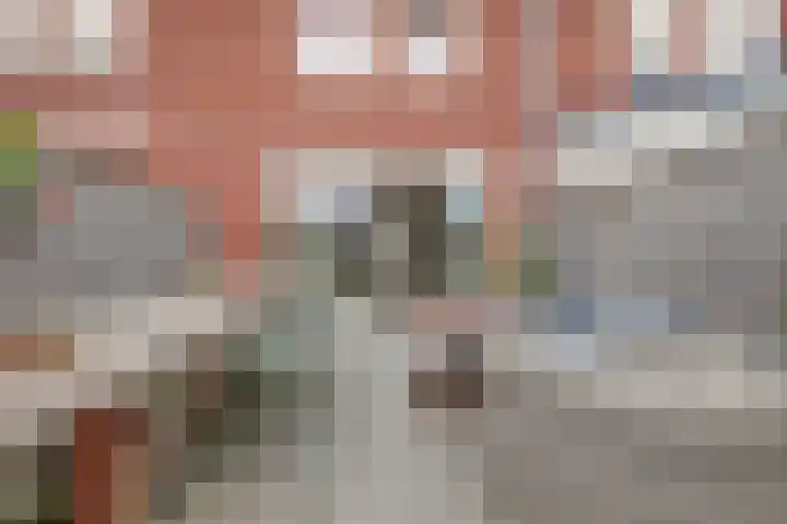Hoefbladstraat 78 Heinkenszand thumbnail 27