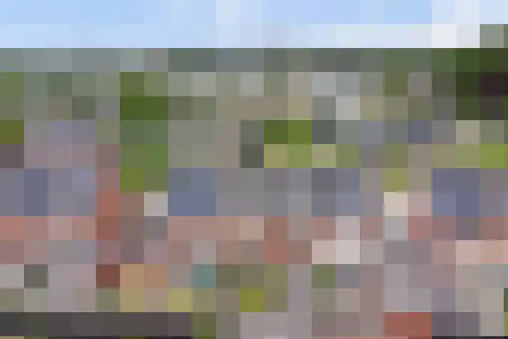 Hoefbladstraat 78 Heinkenszand thumbnail 32