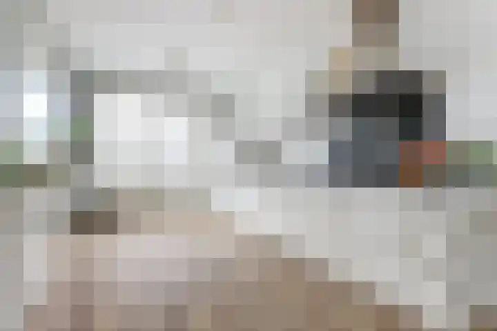 Hoefbladstraat 78 Heinkenszand thumbnail 5