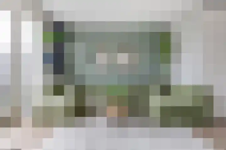 Hoefbladstraat 78 Heinkenszand thumbnail 8