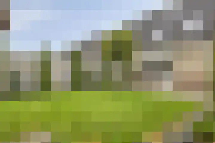 Hoefbladveld 33 Doetinchem thumbnail 27