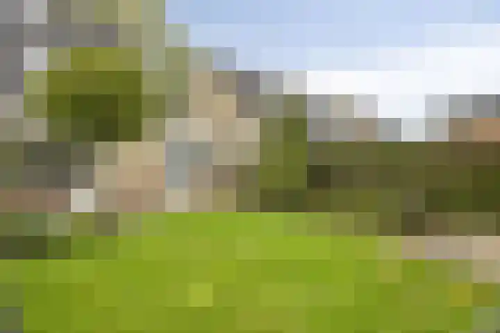 Hoefbladveld 33 Doetinchem thumbnail 28