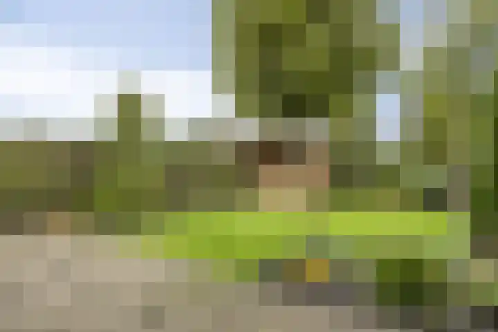 Hoefbladveld 33 Doetinchem thumbnail 29