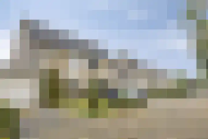 Hoefbladveld 33 Doetinchem thumbnail 35